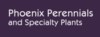 Phoenix Perennials